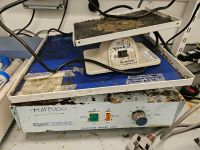 coldroom_mould_02
