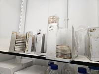 coldroom_mould_11