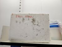coldroom_mould_12
