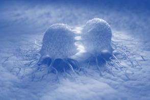 Image of cancer cell dividing