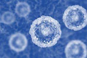 Graphic of cells