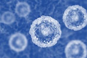 Graphic of cells