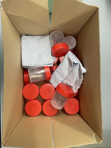 Box full of pots