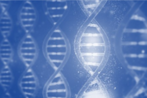 Disease mechanisms and therapeutic strategies in rare skin disorders and syndromes
