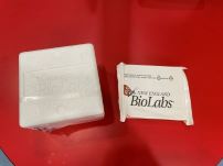 NEB Polystyrene box and ice pack