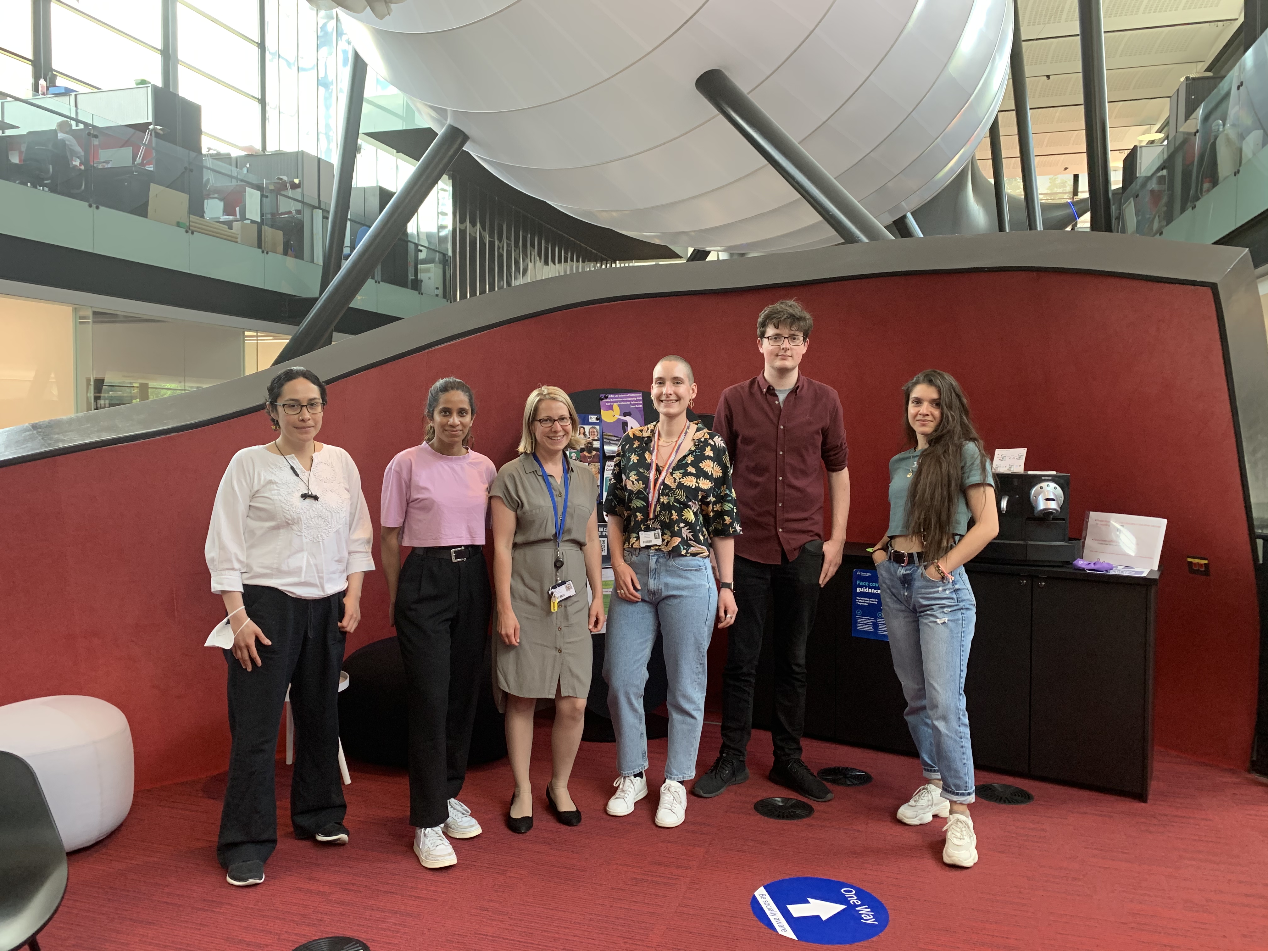 Members of the Rowe Lab at the Blizard Institute