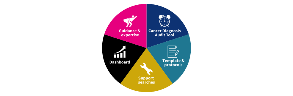 Pie chart graphic representing all elements of the toolkit fitting together