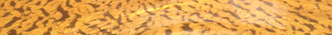 Ripples in a sandy riverbed.