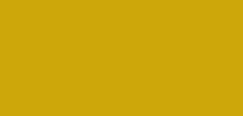 QM Dark Yellow