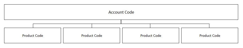 Account Codes Structure