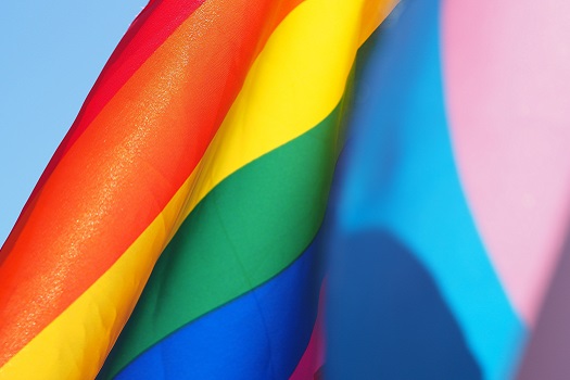 LGBTQA+