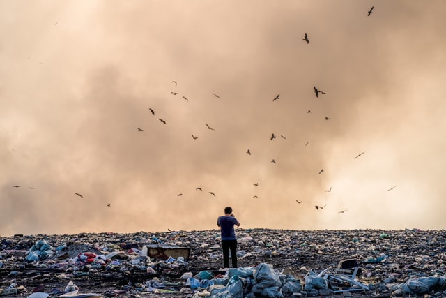 panel event ‘Rethinking Ecocide’