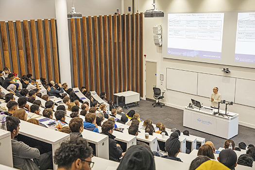 Undergraduate programmes