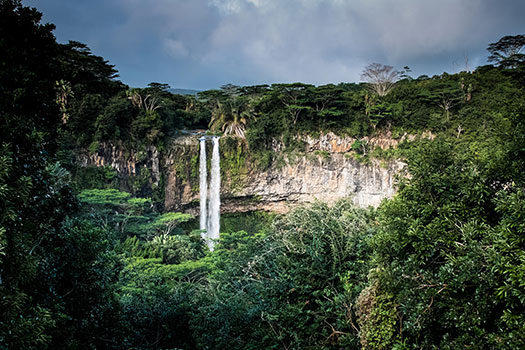 A waterfall in a jungle
