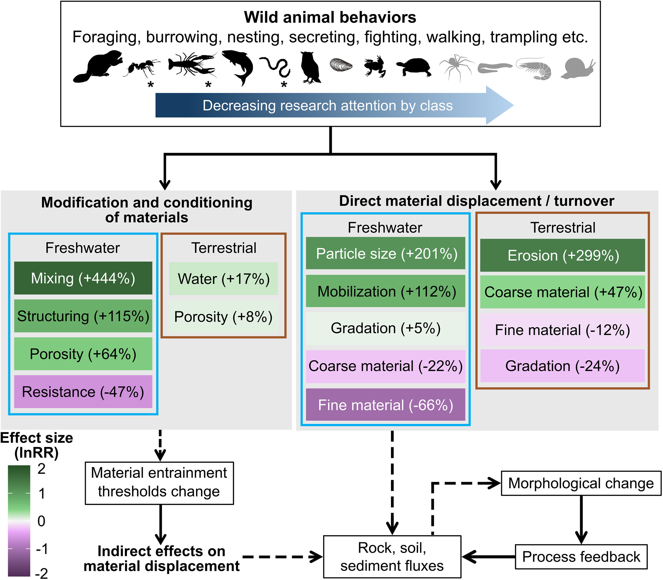 Conceptual diagram showing how wild animals influence the movement of soil and sediment through direct and indirect processes, shaping landscape change across freshwater and terrestrial ecosystems.