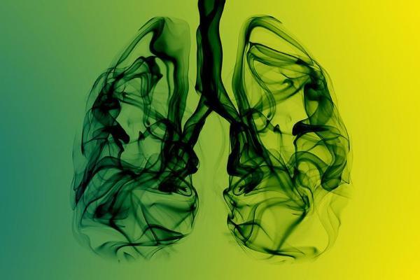 Global and Public Health