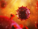 HIV cell