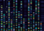 Pinpointing rare disease mutations. Credit: Tetiana Lazunova/ iStock.com