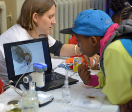 A festival visitor watches a magnified flea