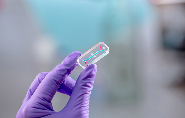 Queen Mary opens Organs-on-Chips Centre