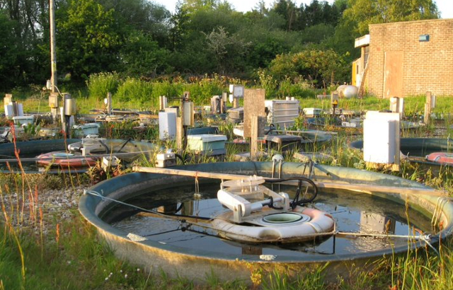 Experimental ponds used in the study