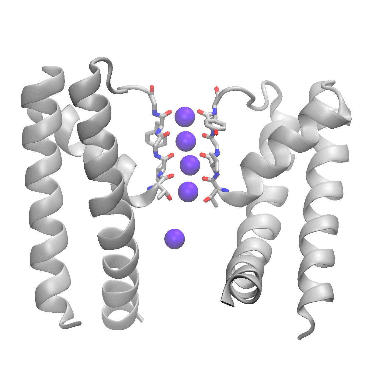Simulation of ion permeation using the novel method described in the publication. Credit by: Wojciech Kopec