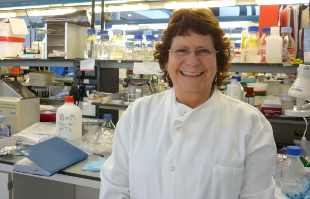 Professor Denise Sheer