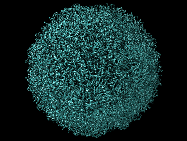 Model of a foot and mouth disease virus capsid. Credit: theasis/ iStock.com