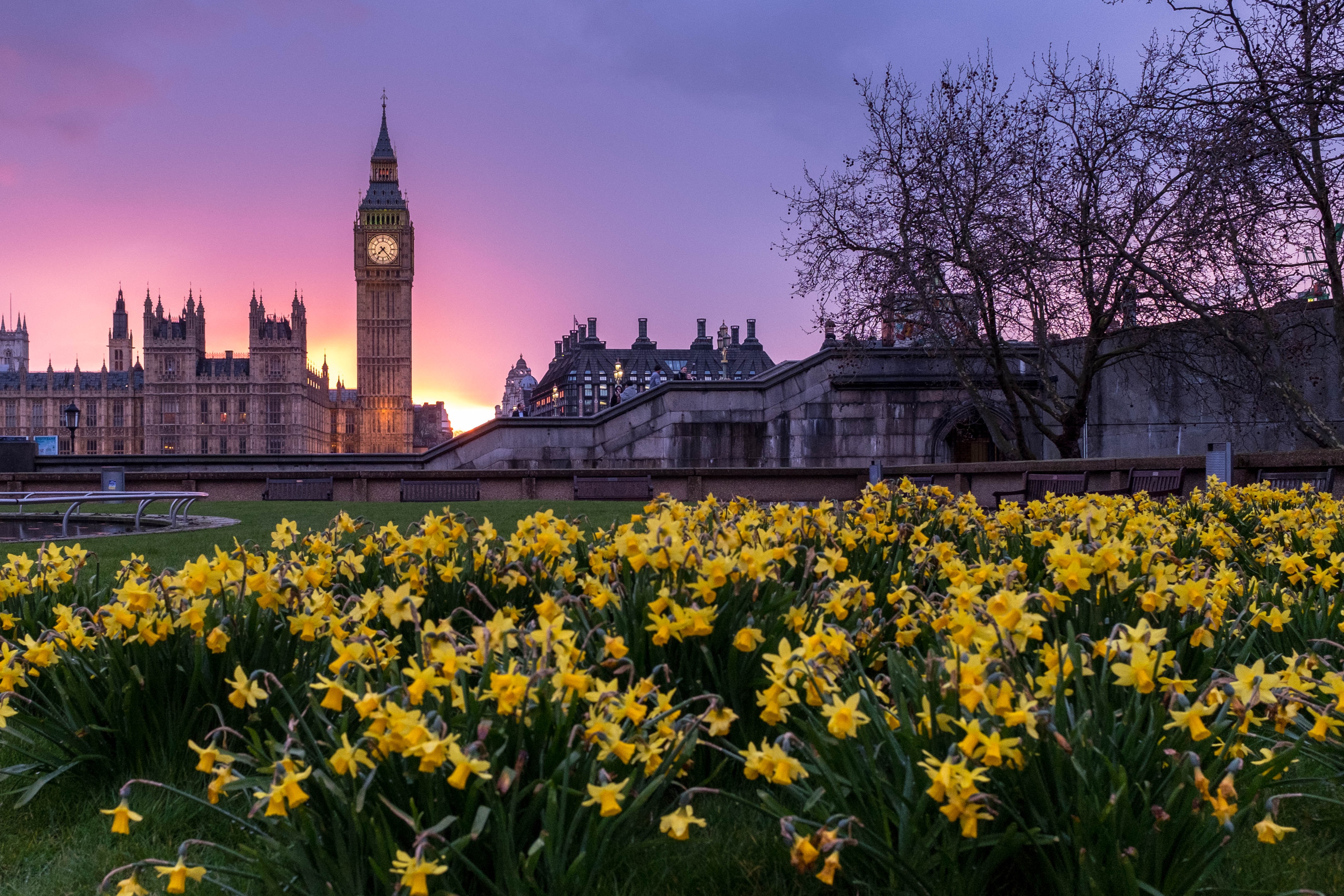 Westminster 