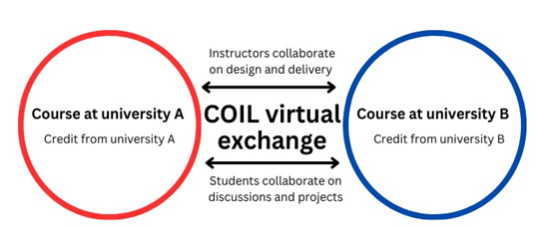A graphical representation of a COIL virtual exchange