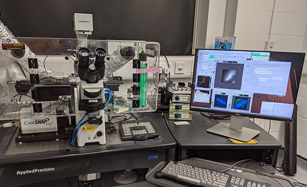 Deltavision Core