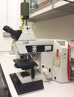Microscope One