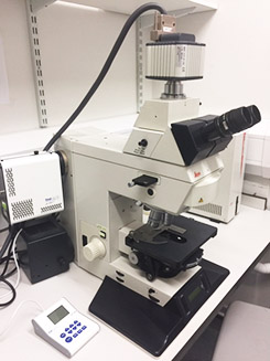 Microscope Two
