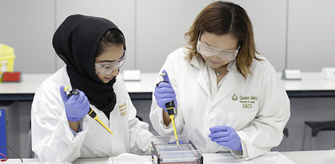 Biomedical Sciences