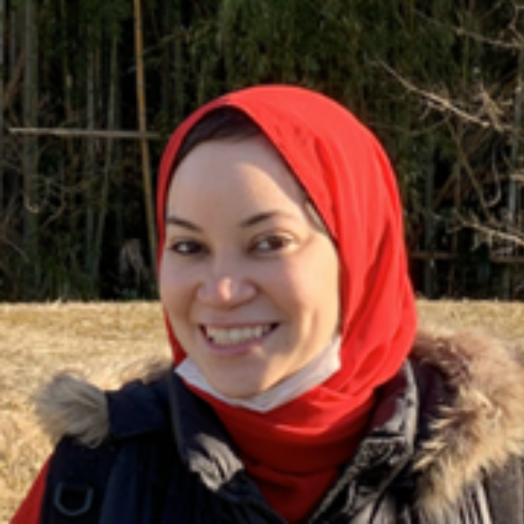 Nouran Ghanem