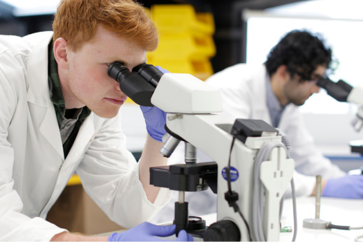 Undergraduate Degrees