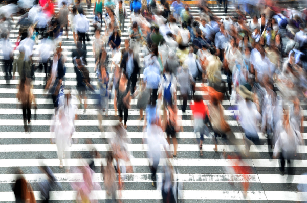 People and Organisations